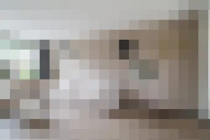 Dr. Bezoenstraat 7 Enschede thumbnail 9