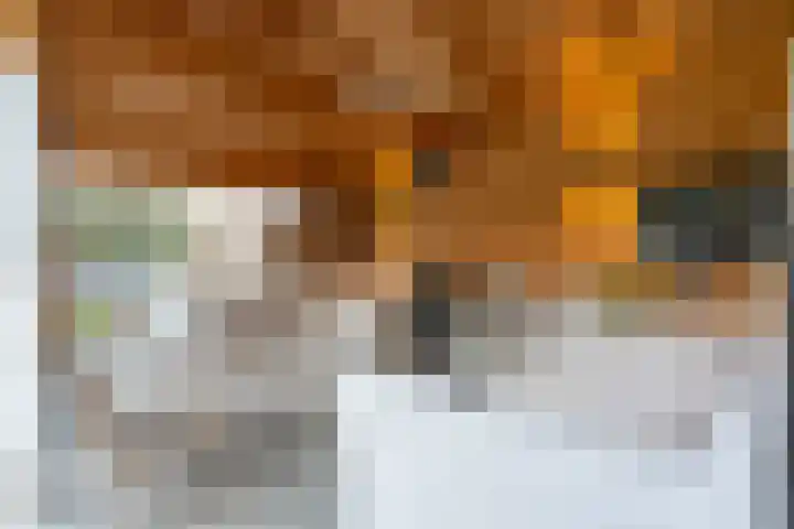 Dr. Calsstraat 19 Landgraaf thumbnail 29