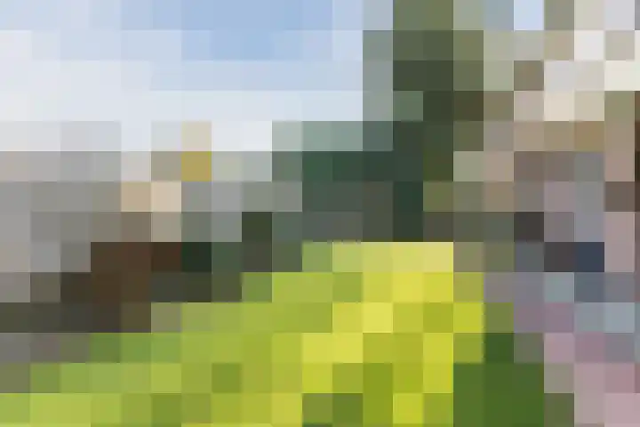 Dr. Cramerstraat 36 Bladel thumbnail 31