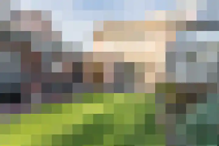 Dr. Cramerstraat 36 Bladel thumbnail 34