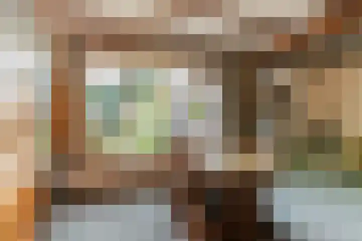 Dr. Cramerstraat 36 Bladel thumbnail 9