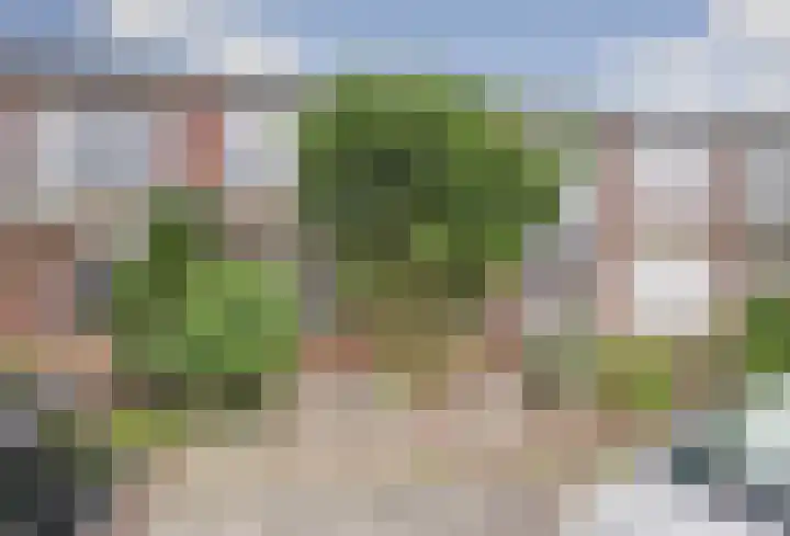 Dr. de Visserstraat 22 Ridderkerk thumbnail 40