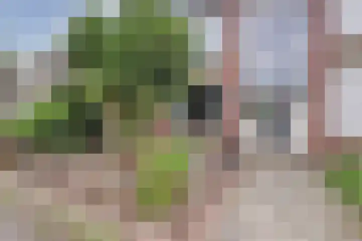 Dr. de Visserstraat 22 Ridderkerk thumbnail 6