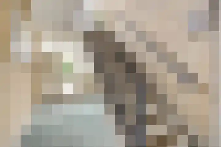 Dr. de Visserstraat 22 Ridderkerk thumbnail 8