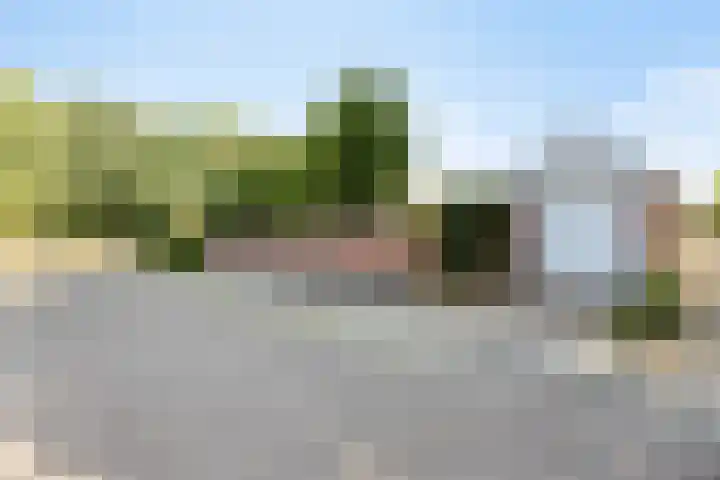 Dr. Eijnattenlaan 16 Someren thumbnail 10