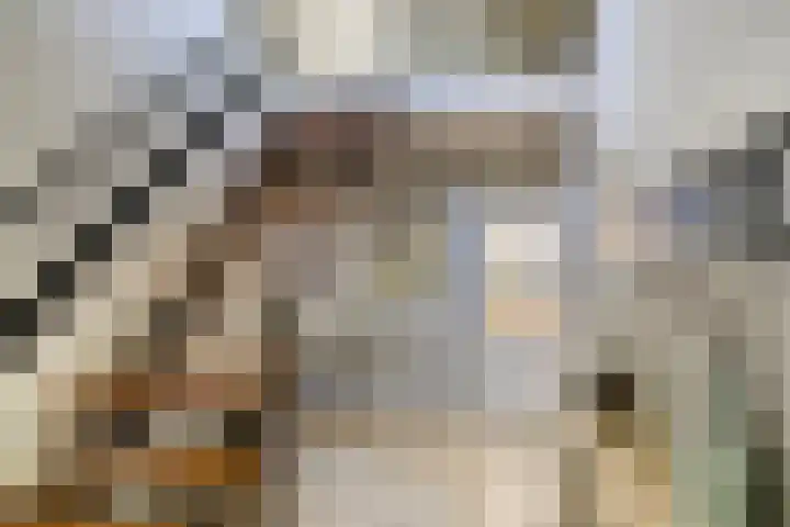Dr. Eijnattenlaan 16 Someren thumbnail 12