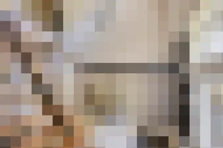Dr. Eijnattenlaan 16 Someren thumbnail 13