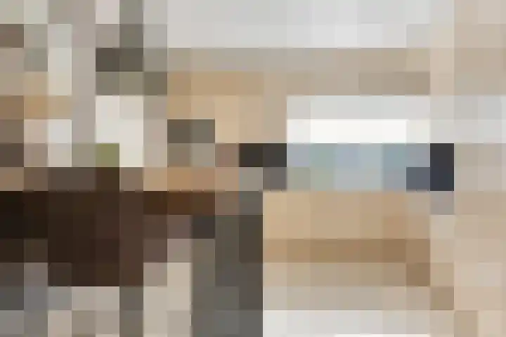 Dr. Eijnattenlaan 16 Someren thumbnail 19