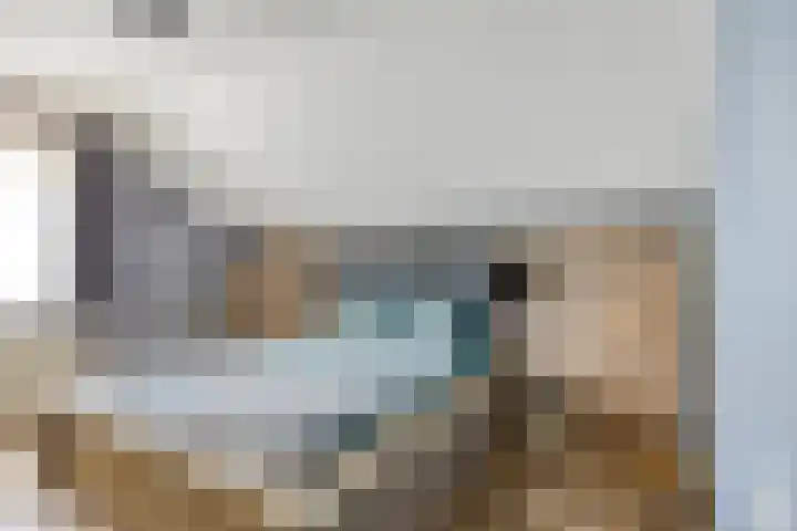 Dr. Eijnattenlaan 16 Someren thumbnail 37