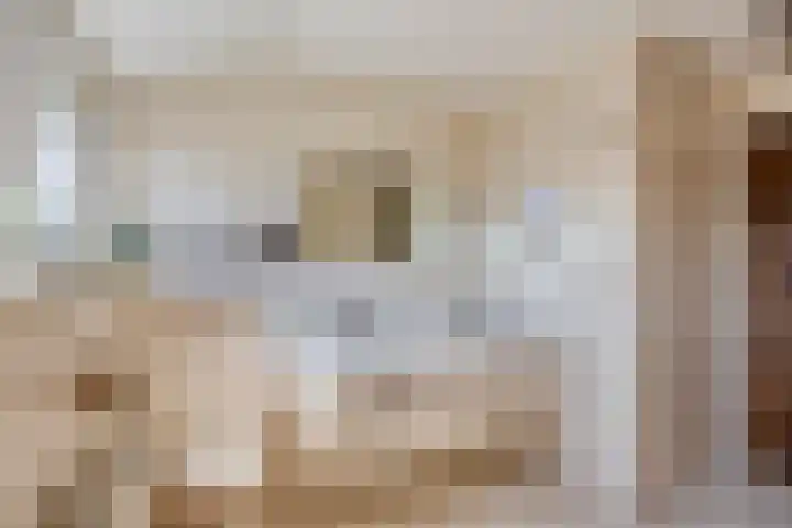 Dr. Eijnattenlaan 16 Someren thumbnail 41