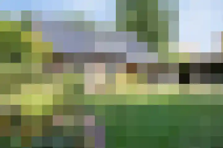 Dr. Eijnattenlaan 16 Someren thumbnail 50