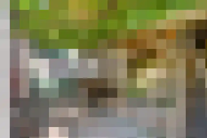 Dr. Eijnattenlaan 16 Someren thumbnail 56
