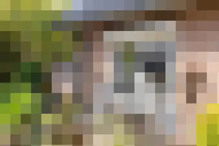 Dr. Eijnattenlaan 16 Someren thumbnail 57
