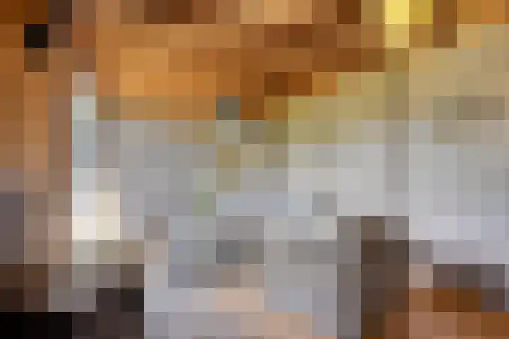 Dr. Eijnattenlaan 16 Someren thumbnail 59