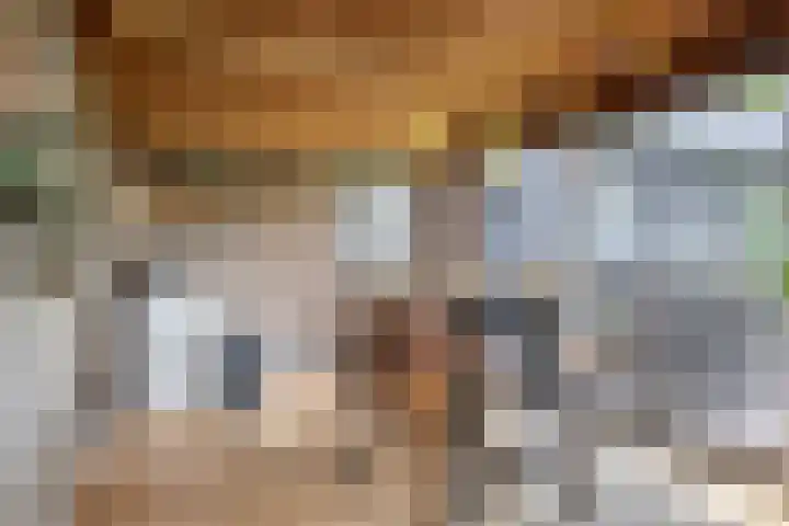 Dr. Eijnattenlaan 16 Someren thumbnail 60