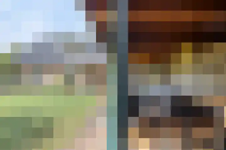 Dr. Eijnattenlaan 16 Someren thumbnail 62