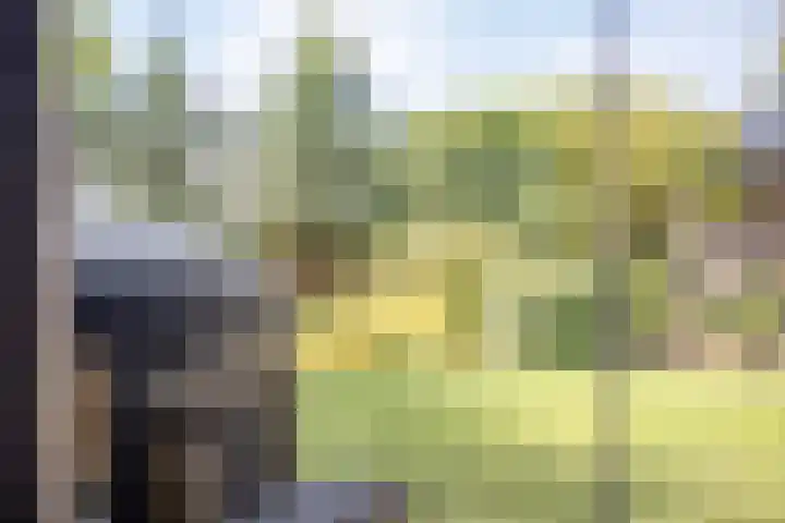 Dr. Eijnattenlaan 16 Someren thumbnail 63