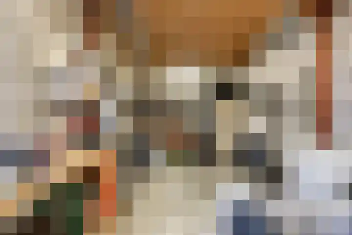 Dr. Eijnattenlaan 16 Someren thumbnail 66