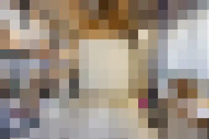 Dr. Eijnattenlaan 16 Someren thumbnail 67