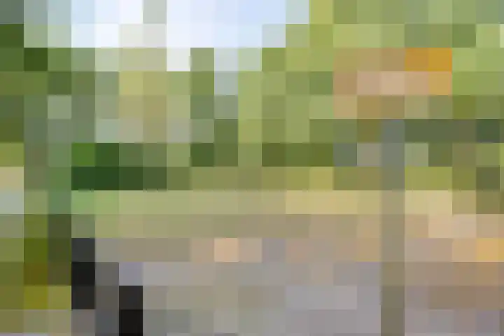 Dr. Eijnattenlaan 16 Someren thumbnail 75