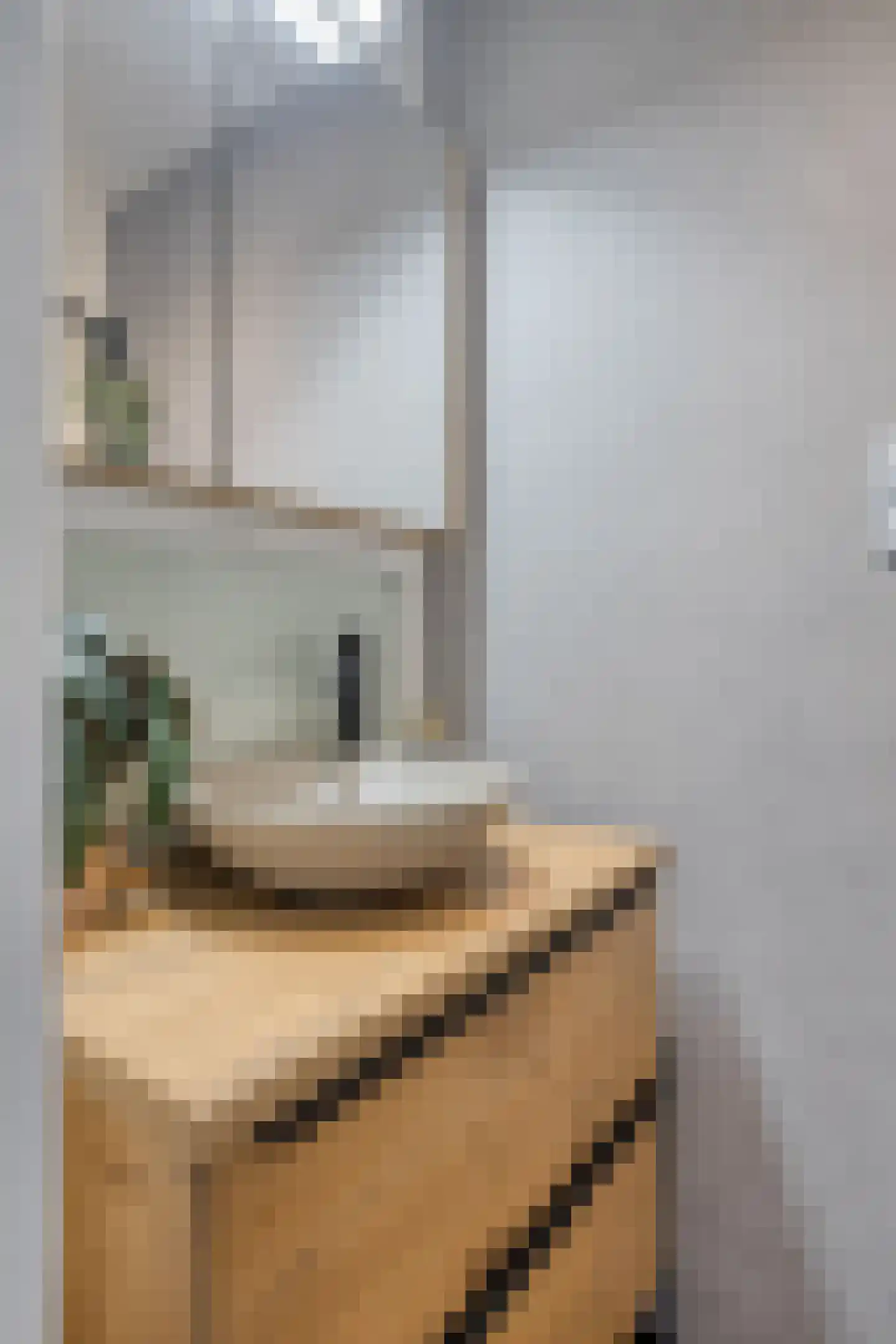 Dr Erensstraat 42 Valkenburg thumbnail 22