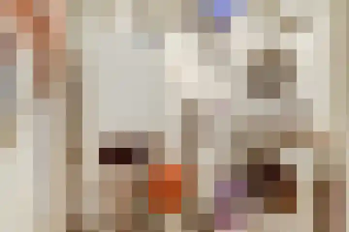Dr. Ir. Vondelingpark 7 Ede thumbnail 33