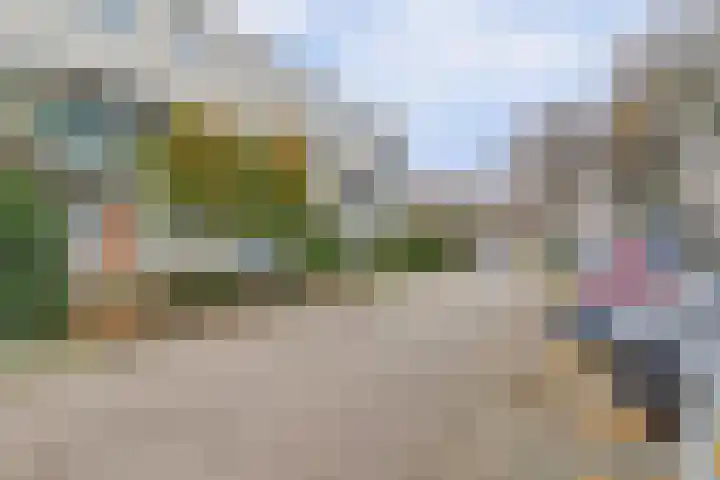 Dr. Ir. Vondelingpark 7 Ede thumbnail 38