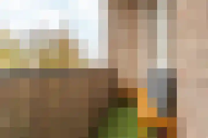 Dr. J.C. Hartogslaan 21 4 Arnhem thumbnail 16