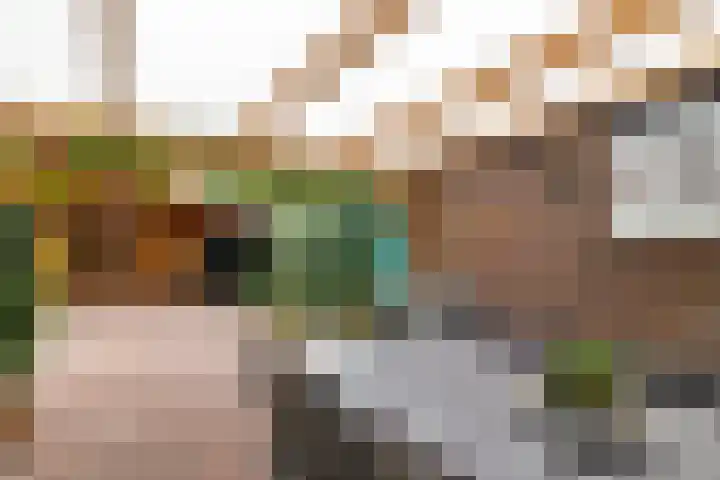 Dr. Koppiusstraat 32 Ter Apel thumbnail 23