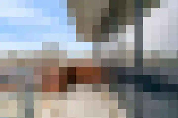 Dr. Kortmannstraat 95 Zoeterwoude thumbnail 6
