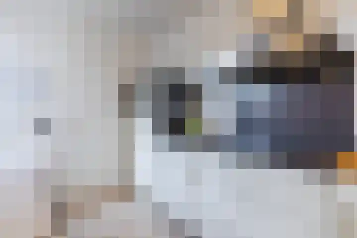 Dr. Kuyperstraat 9 Budel thumbnail 11