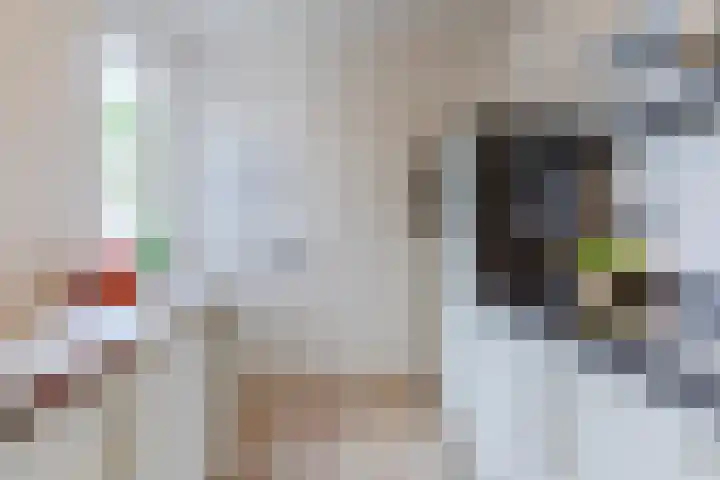 Dr. Kuyperstraat 9 Budel thumbnail 12