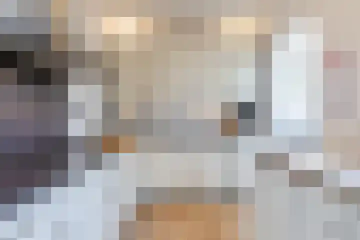 Dr. Kuyperstraat 9 Budel thumbnail 13