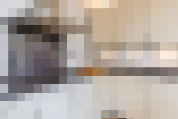 Dr. Kuyperstraat 9 Budel thumbnail 14