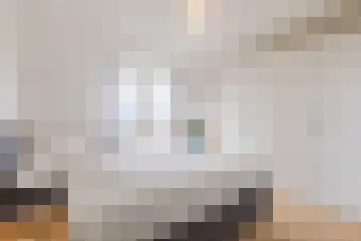 Dr. Kuyperstraat 9 Budel thumbnail 18