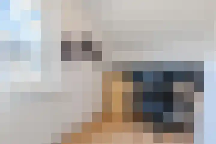 Dr. Kuyperstraat 9 Budel thumbnail 22