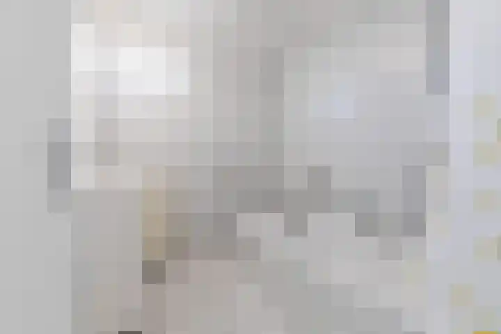 Dr. Kuyperstraat 9 Budel thumbnail 26