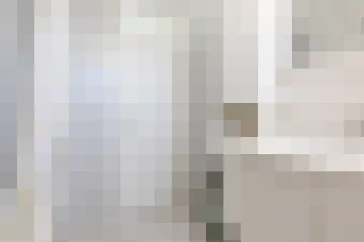 Dr. Kuyperstraat 9 Budel thumbnail 27