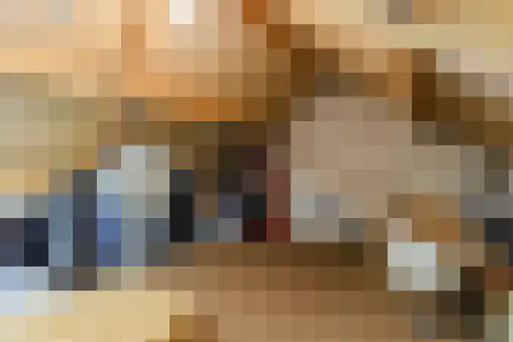 Dr. Kuyperstraat 9 Budel thumbnail 31