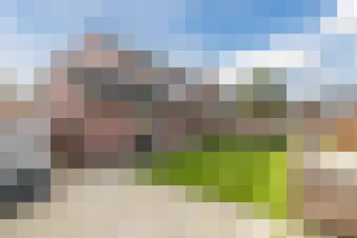 Dr. Kuyperstraat 9 Budel thumbnail 35