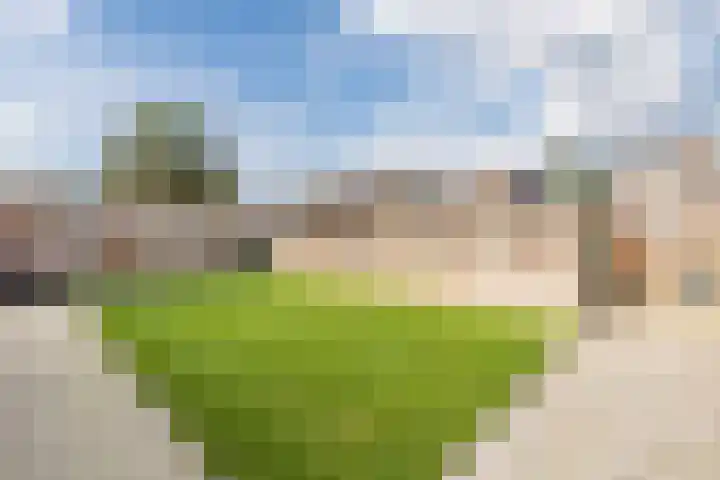Dr. Kuyperstraat 9 Budel thumbnail 37
