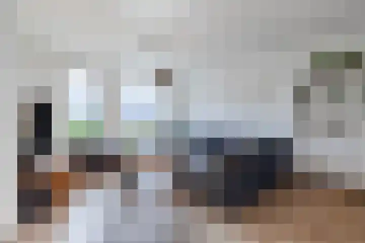 Dr. Kuyperstraat 9 Budel thumbnail 4