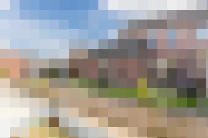 Dr. Kuyperstraat 9 Budel thumbnail 40