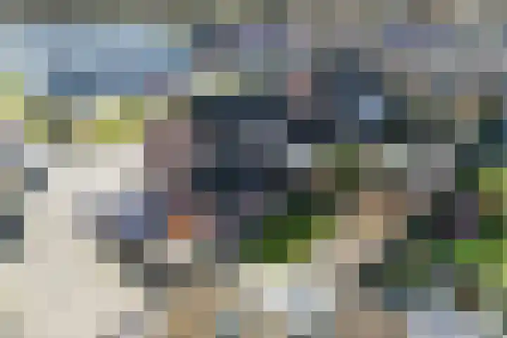 Dr. Kuyperstraat 9 Budel thumbnail 43