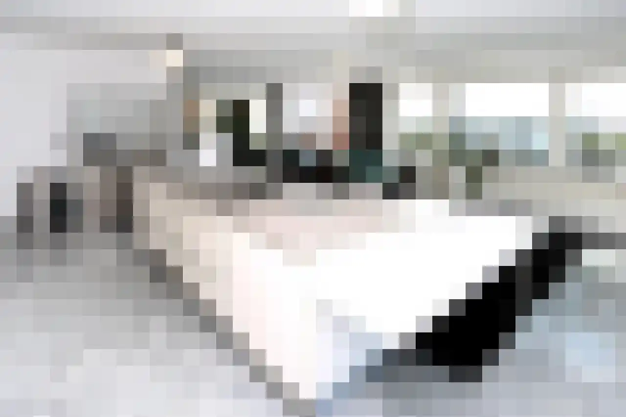 Dr. Lelykade 236 D Den Haag thumbnail 12
