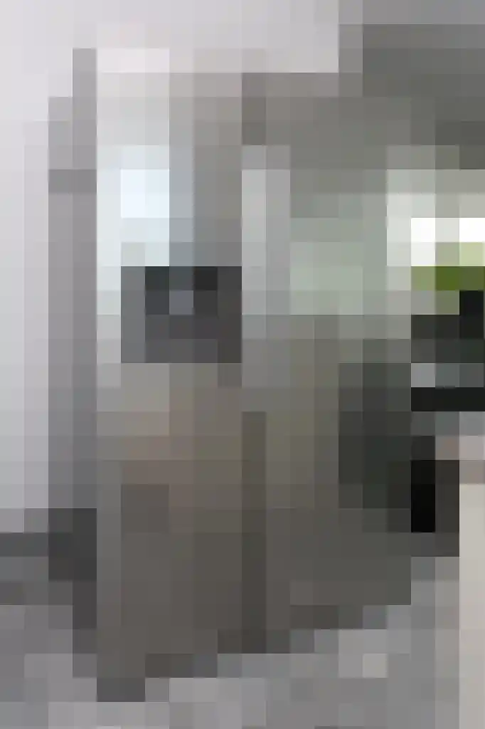 Dr. Lelykade 236 D Den Haag thumbnail 14