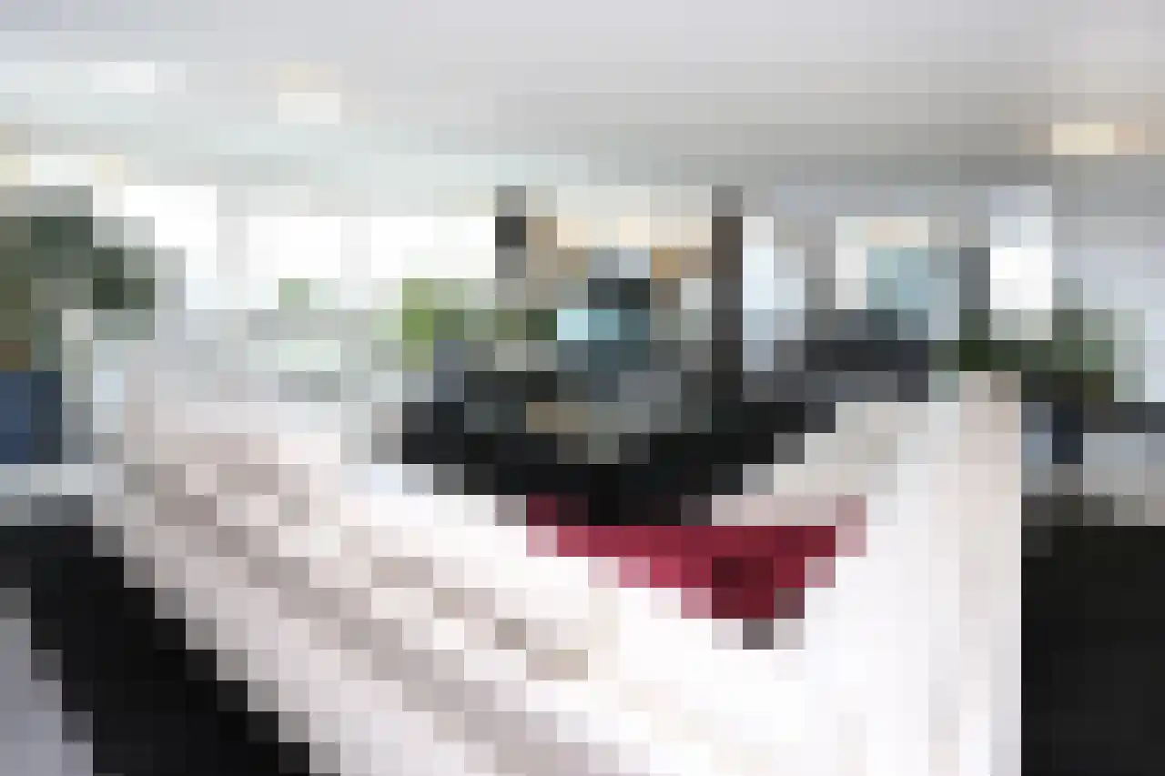 Dr. Lelykade 236 D Den Haag thumbnail 6