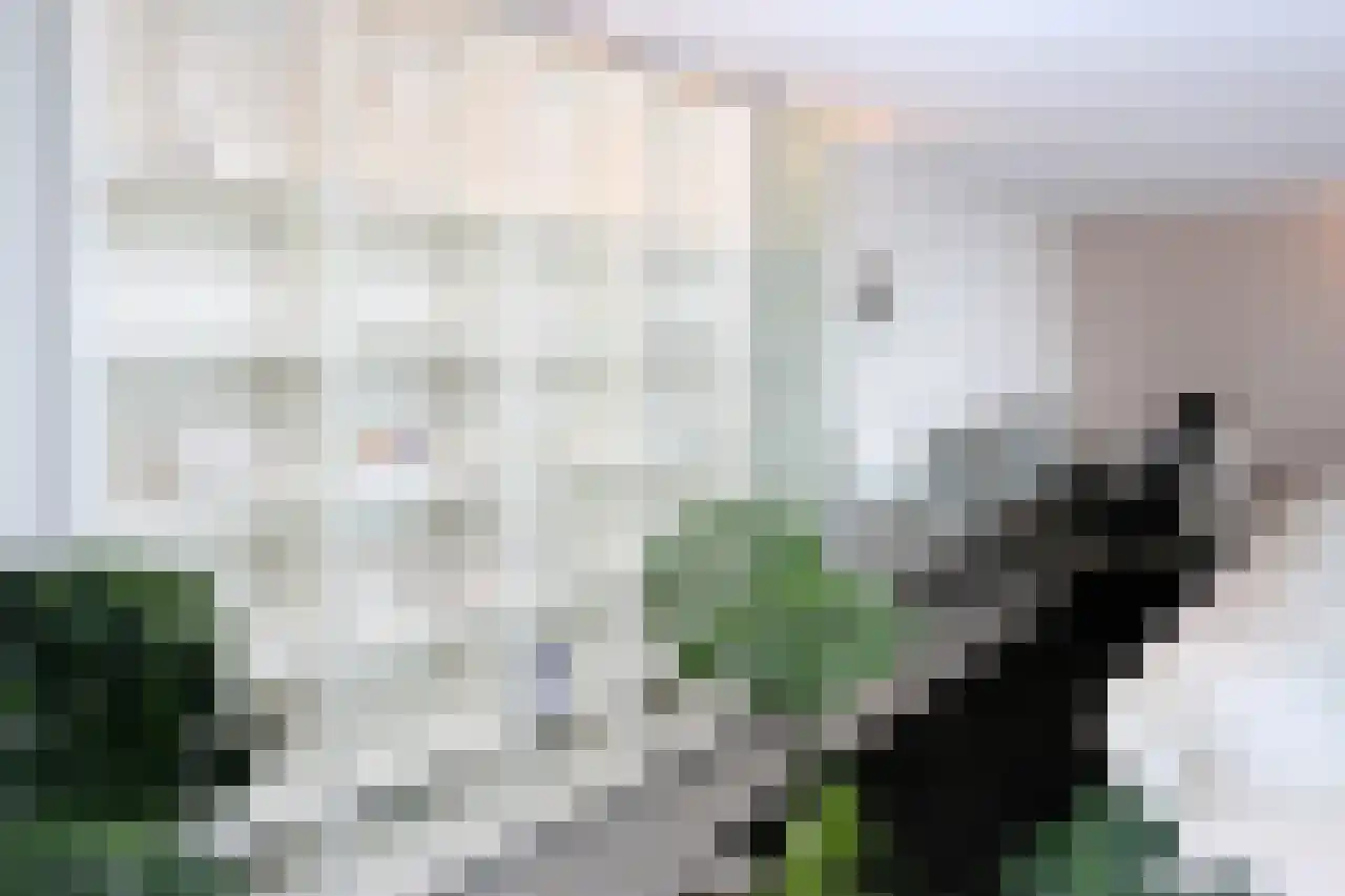Dr. Lelykade 236 D Den Haag thumbnail 9