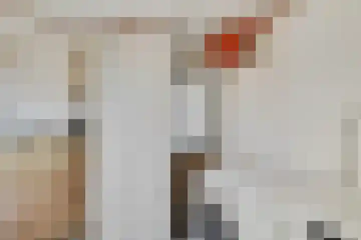 Dr. Poolmanstraat 12 Ter Apel thumbnail 17