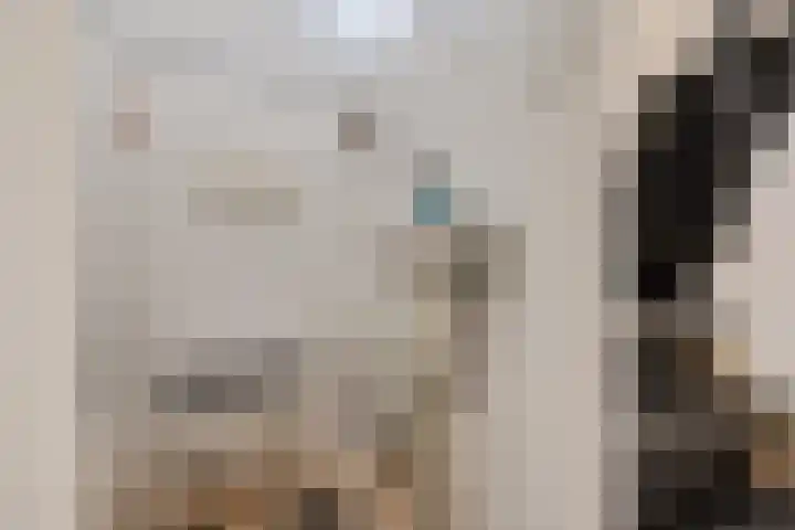 Dr. Poolmanstraat 12 Ter Apel thumbnail 4